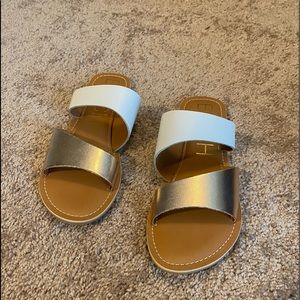 Matisse Slides